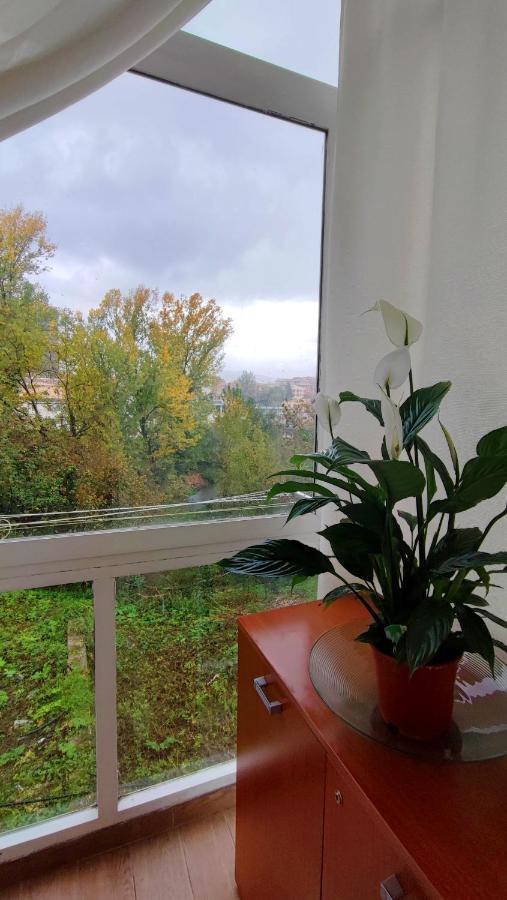 Il Roseto Panzió Frosinone megye Kültér fotó